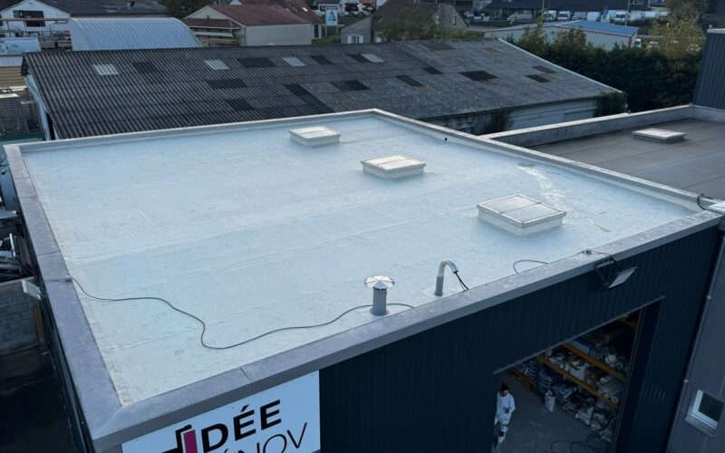 Pourquoi l'étanchéité d'un toit-terrasse est-elle si importante ?